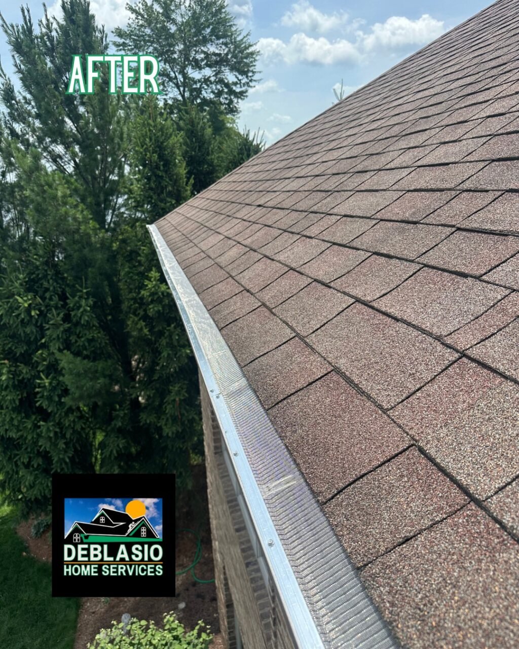 Instagram post from deblasio_home_services. This post is in position 6.