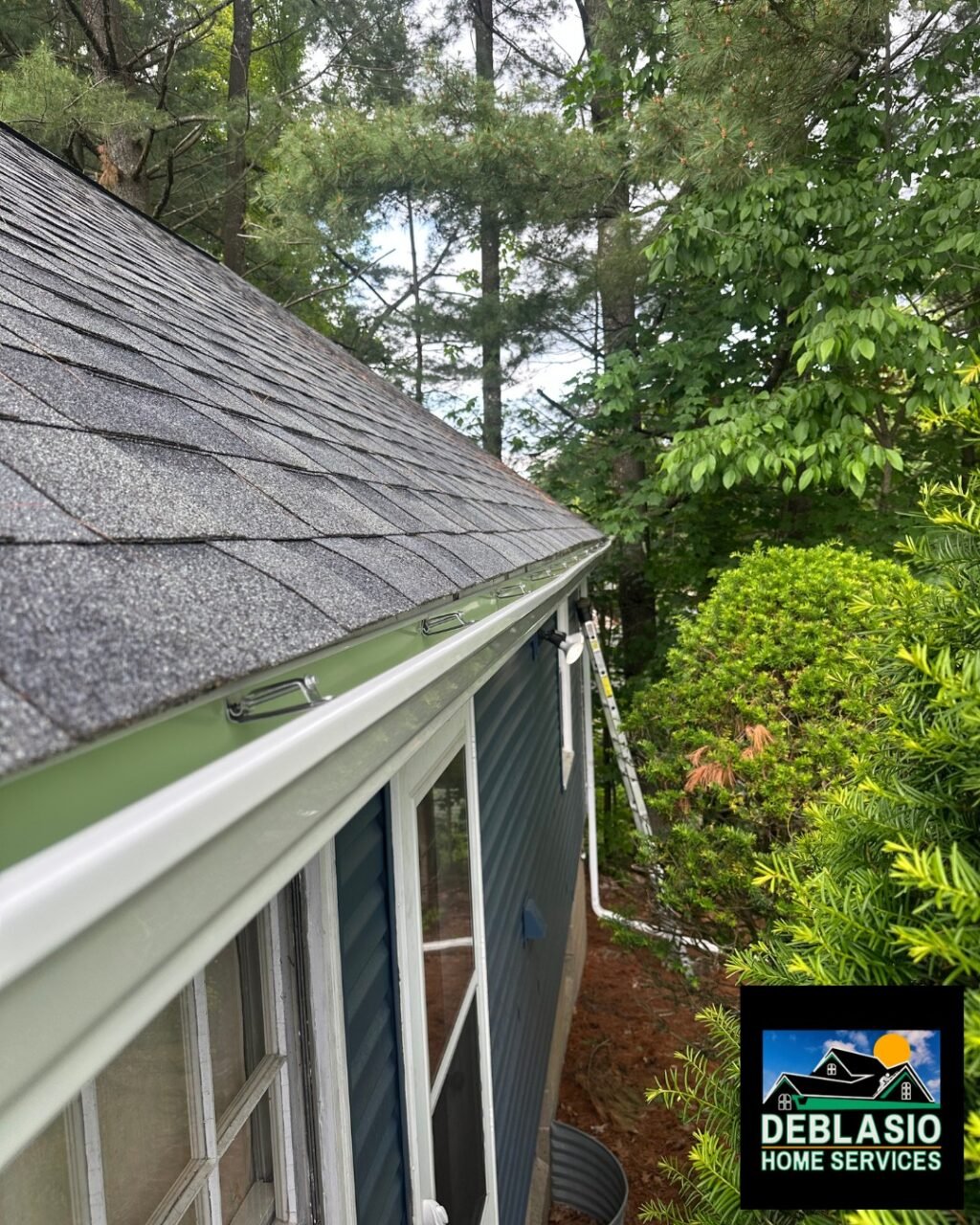 Instagram post from deblasio_home_services. This post is in position 5.