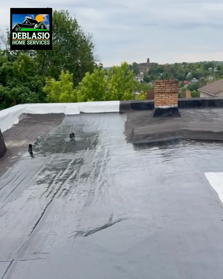 Instagram post from deblasio_home_services. This post is in position 0.
