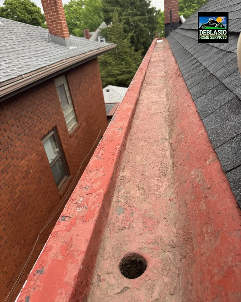 Instagram post from deblasio_home_services. This post is in position 1.