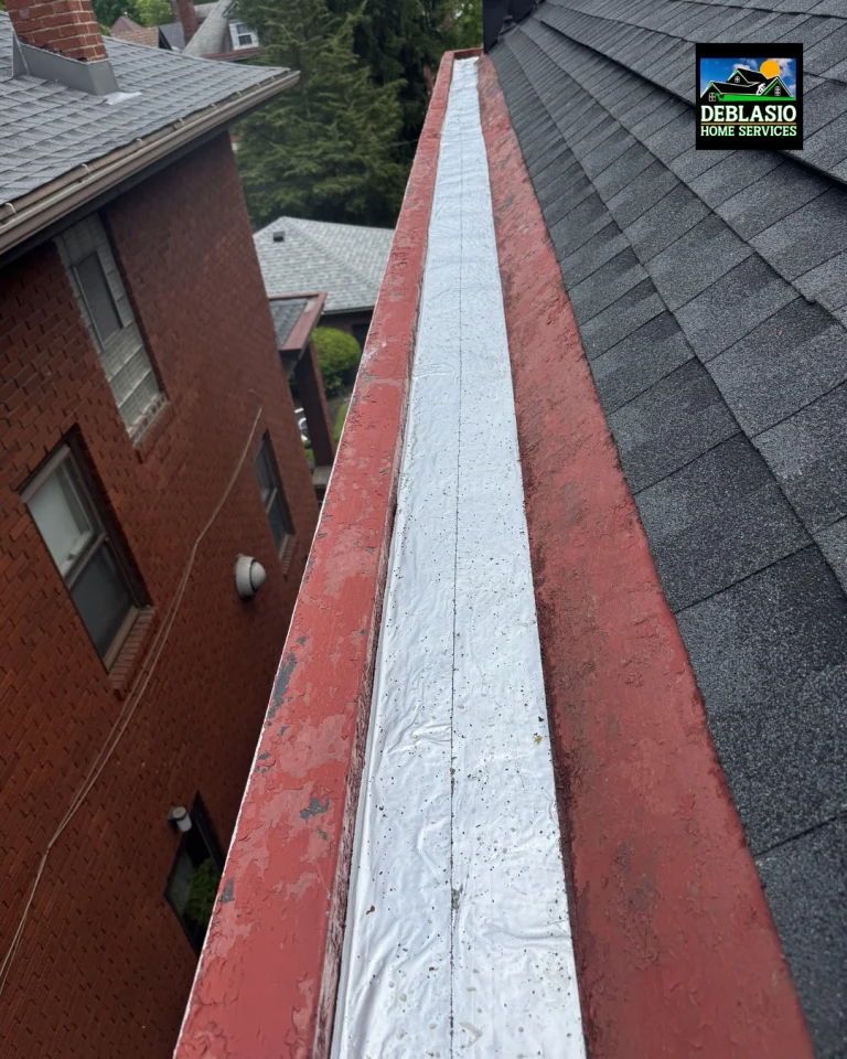 Instagram post from deblasio_home_services. This post is in position 4.