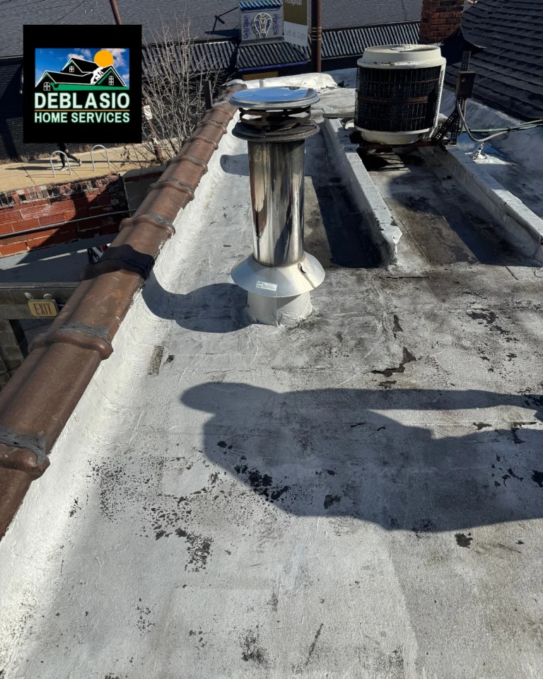 Instagram post from deblasio_home_services. This post is in position 1.