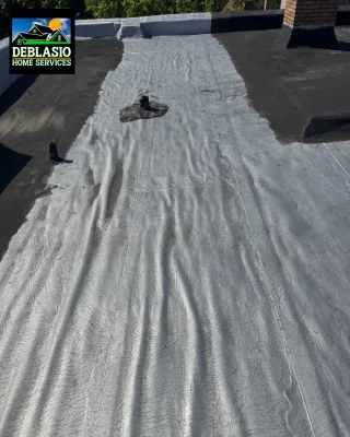 Instagram post from deblasio_home_services. This post is in position 2.