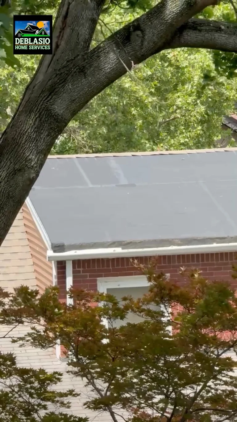 Instagram post from deblasio_home_services. This post is in position 0.