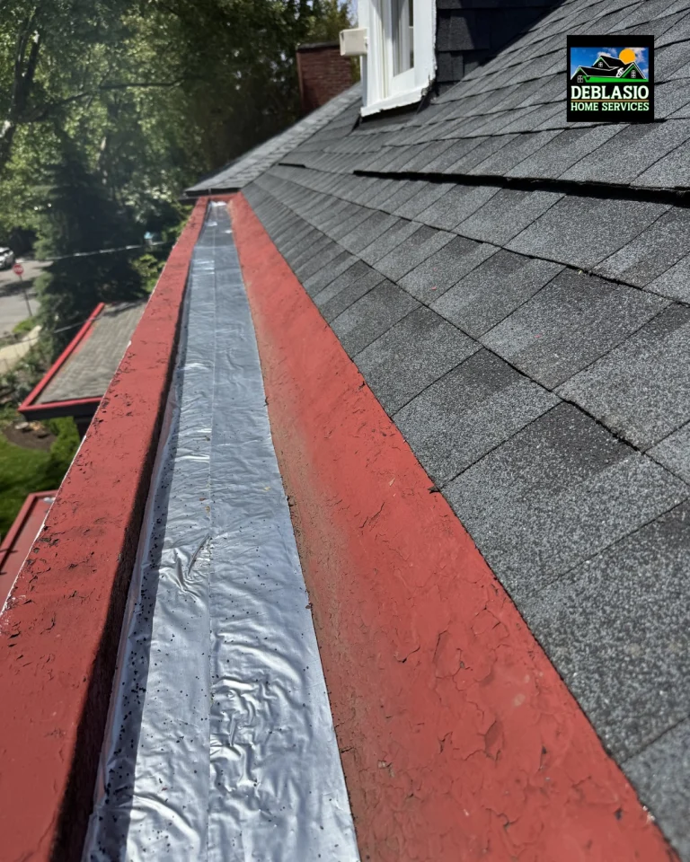 Instagram post from deblasio_home_services. This post is in position 7.
